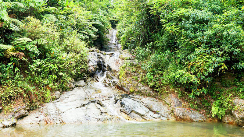 Arangin Falls