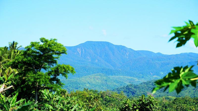Bato Viewing Hills