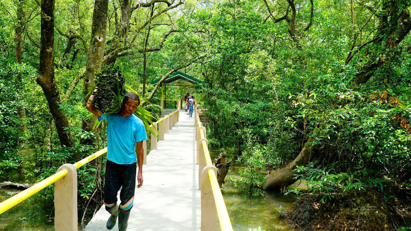 Calabugao Ecopark