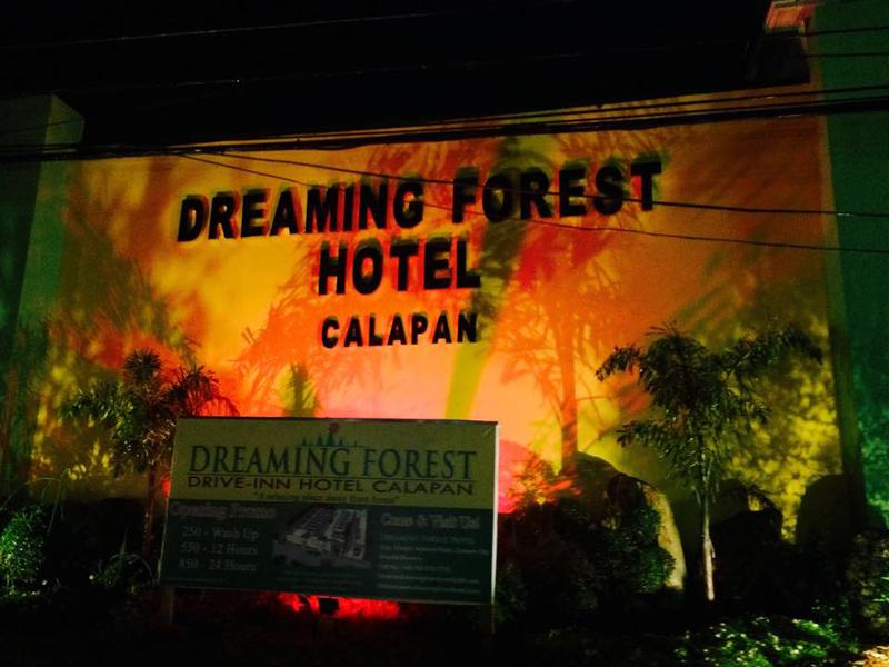 Dreaming Forest Hotel