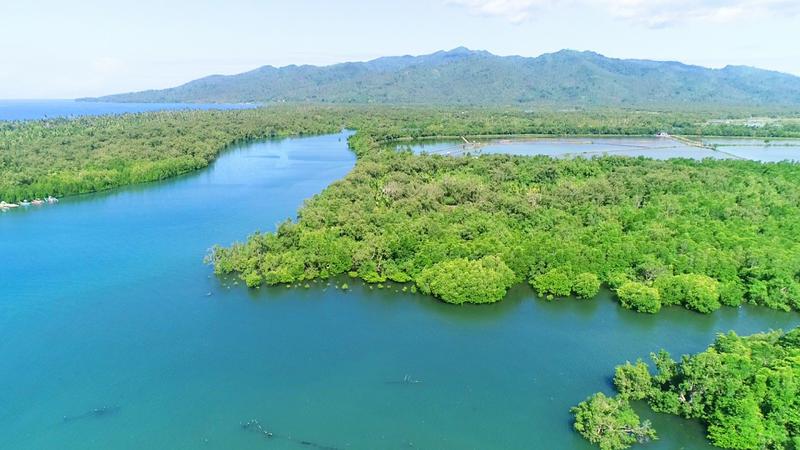 Mangrove Eco Park
