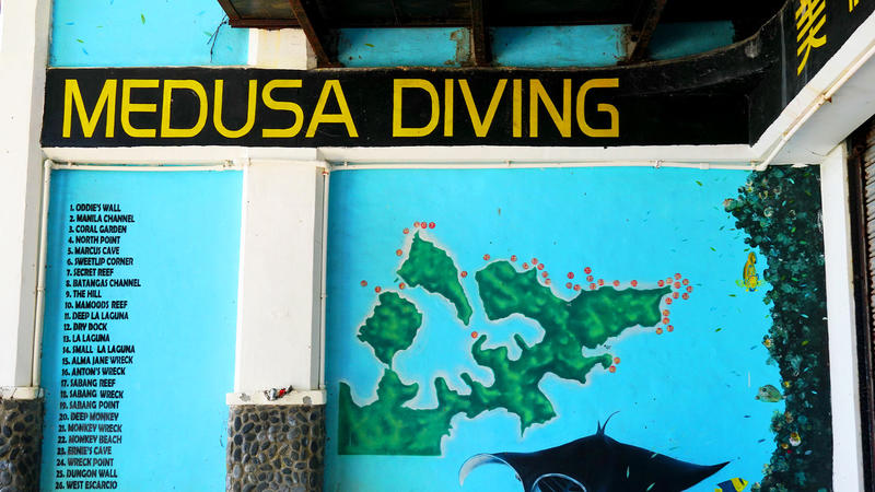 Medusa International Corp