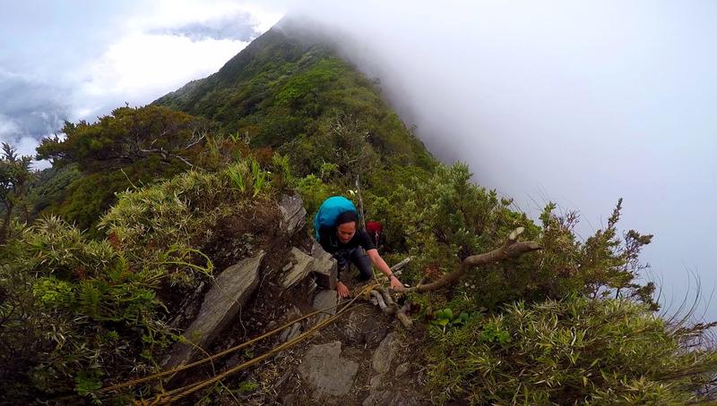 Mt. Halcon